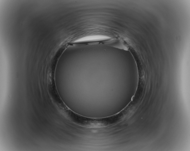 X0000086220547200704121859