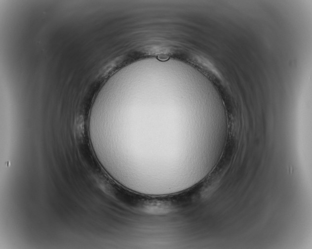 X0000086220549200704121859