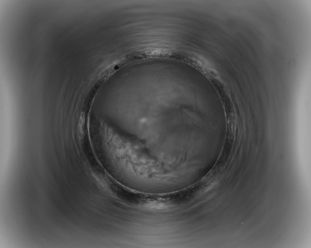 X0000086220550200704121859