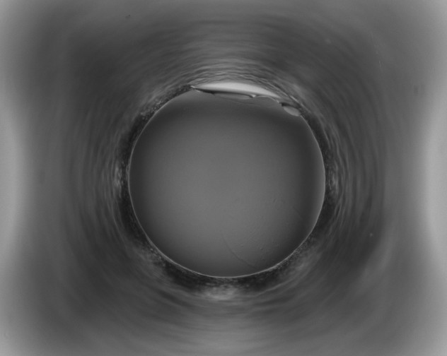 X0000086220551200704121859