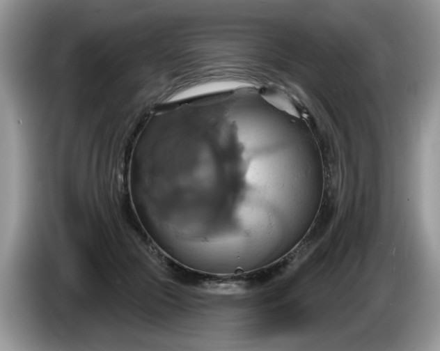 X0000086220553200704121859