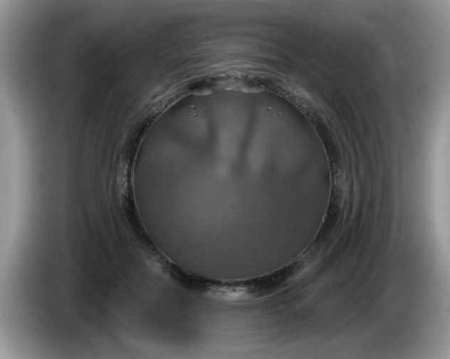 X0000086220554200704121859