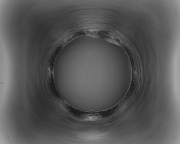 X0000086220555200704121859