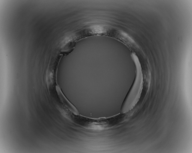 X0000086220556200704121859