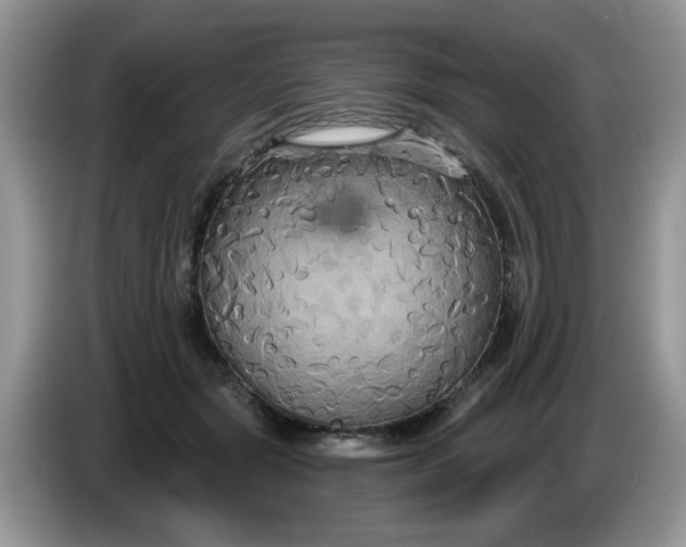 X0000086220557200704121859