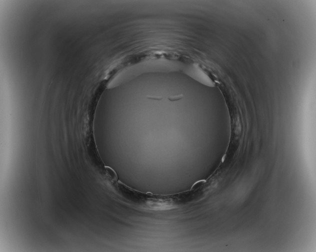 X0000086220559200704121859