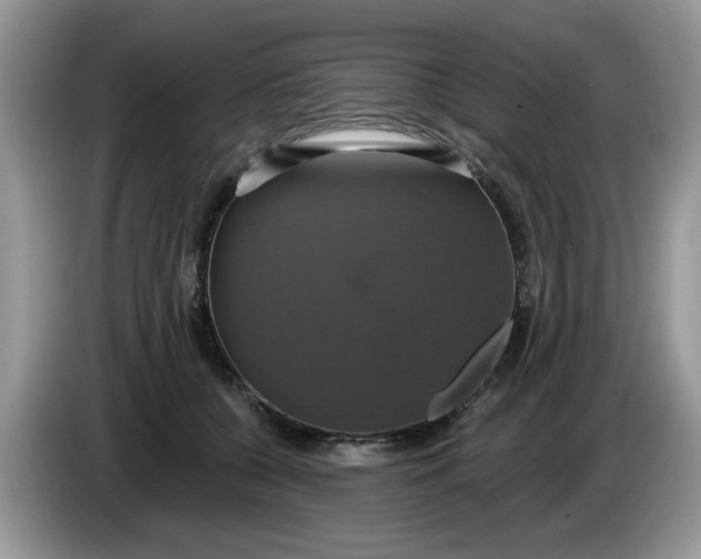 X0000086220560200704121859