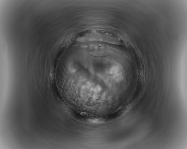 X0000086220561200704121859