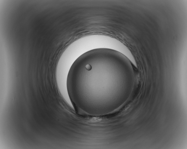 X0000086220562200704121859