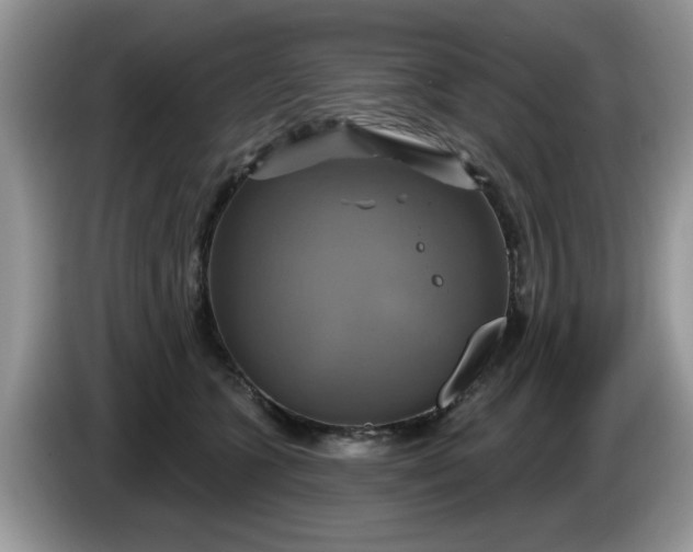 X0000086220563200704121859