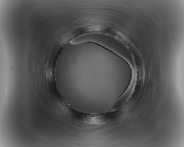 X0000086220564200704121859