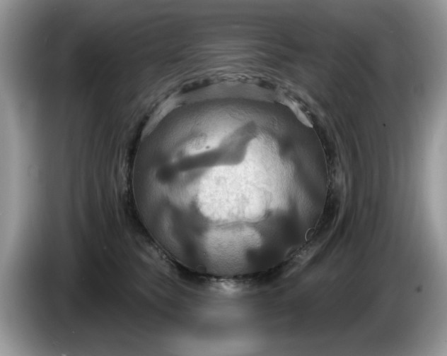 X0000086220565200704121859