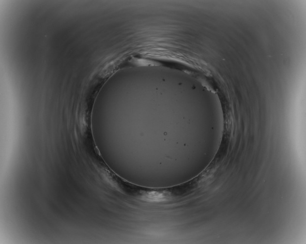 X0000086220566200704121859