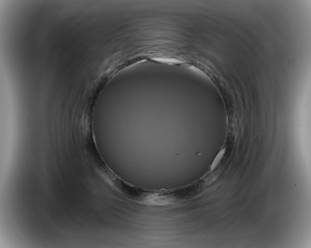 X0000086220568200704121859