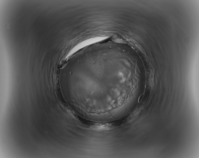 X0000086220569200704121859