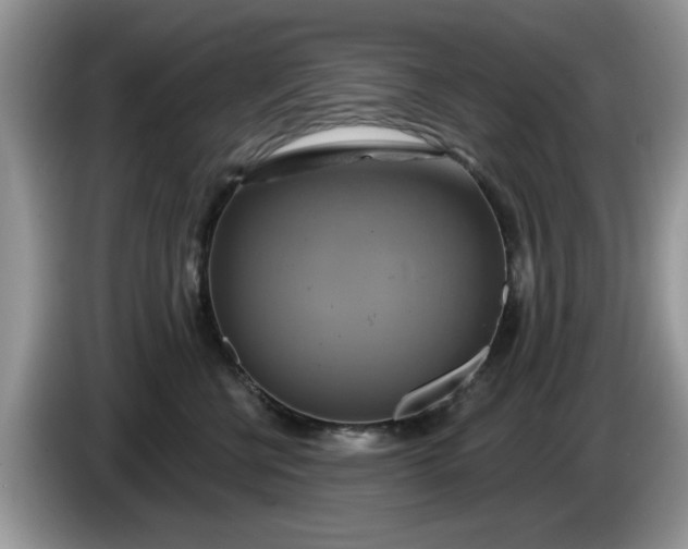 X0000086220570200704121859