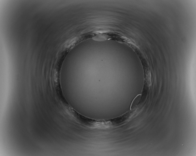 X0000086220571200704121859