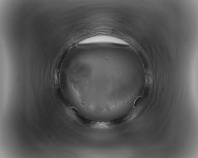 X0000086220573200704121859