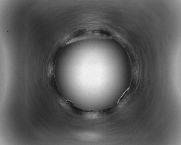 X0000086220574200704121859