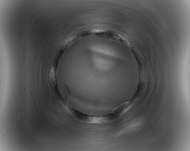 X0000086220575200704121859