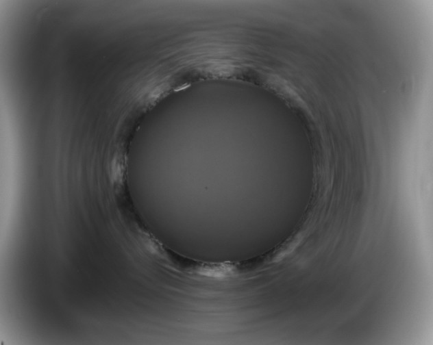 X0000086220576200704121859