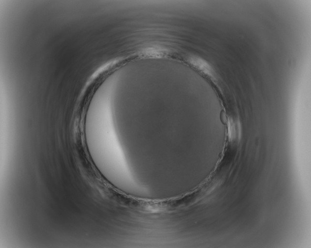 X0000086220579200704121858