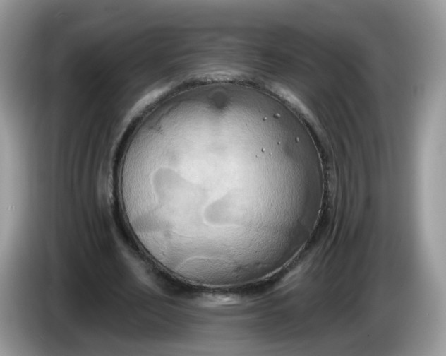 X0000086220582200704121858