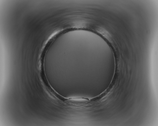 X0000086220584200704121858