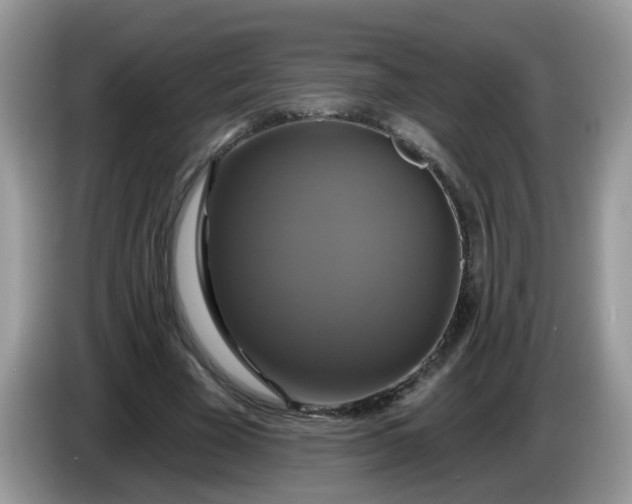 X0000086220585200704121858