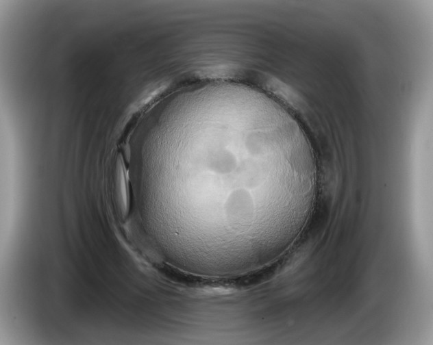 X0000086220586200704121858