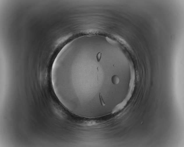 X0000086220588200704121858