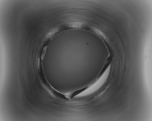 X0000086220589200704121858