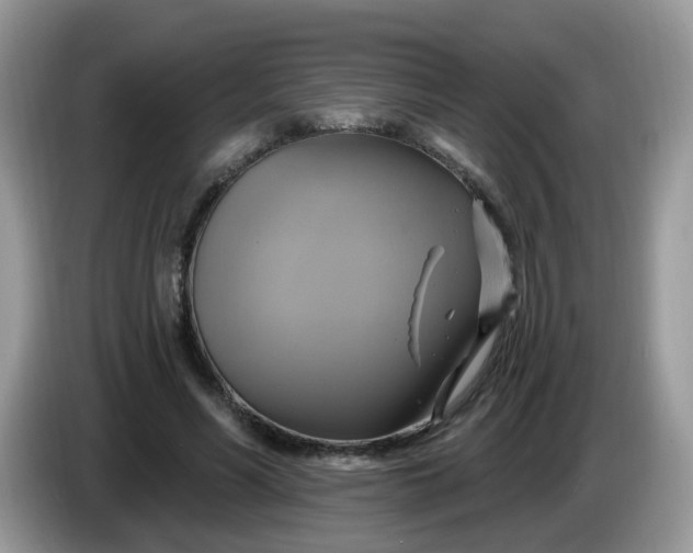 X0000086220590200704121858