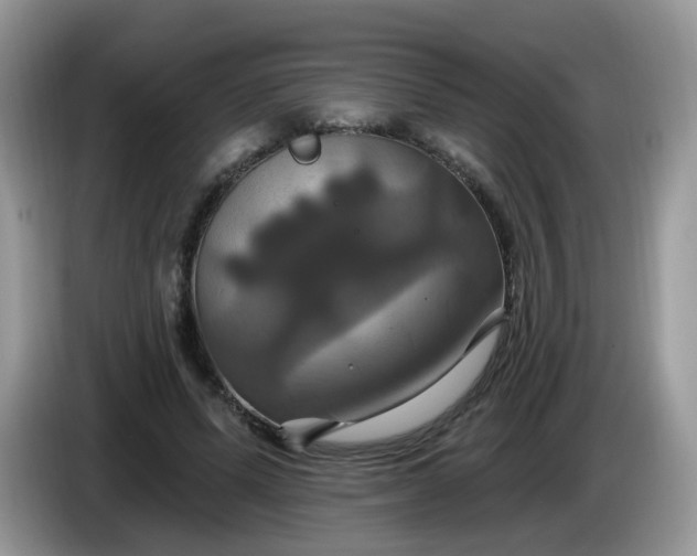 X0000086220591200704121858