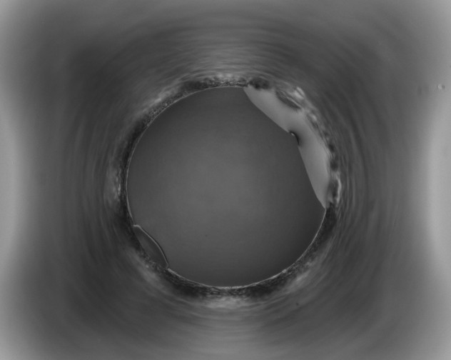 X0000086220593200704121858