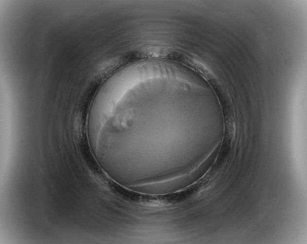 X0000086220594200704121858