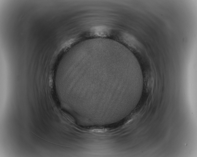 X0000086220595200704121858