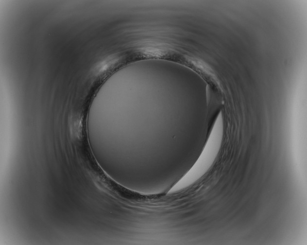 X0000086220596200704121858