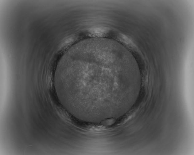 X0000086220599200704121858