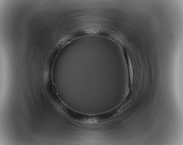 X0000086220600200704121858