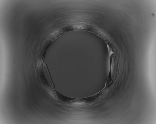 X0000086220601200704121858