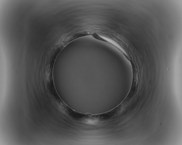 X0000086220604200704121858