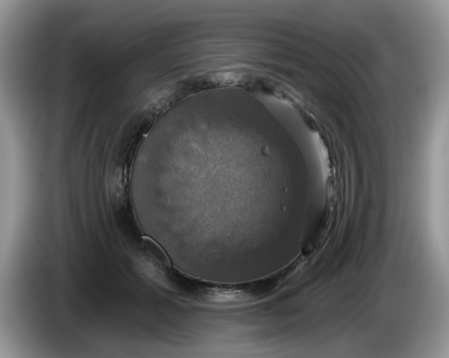 X0000086220605200704121858