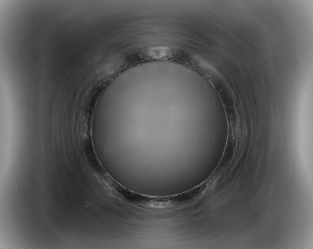 X0000086220606200704121858