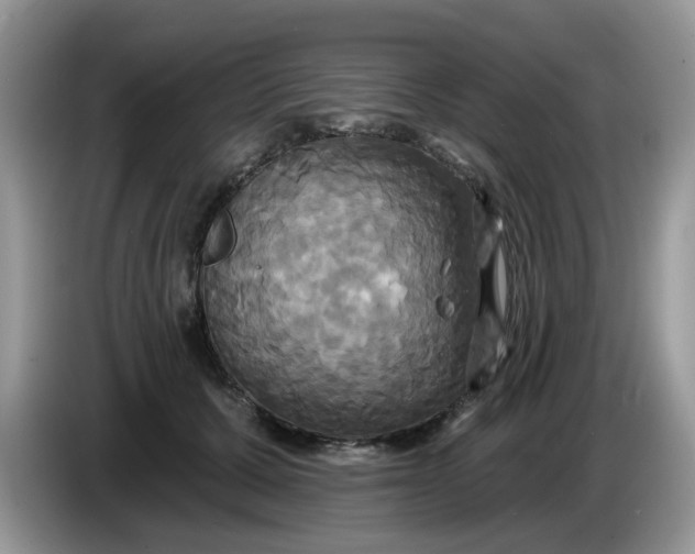 X0000086220607200704121858