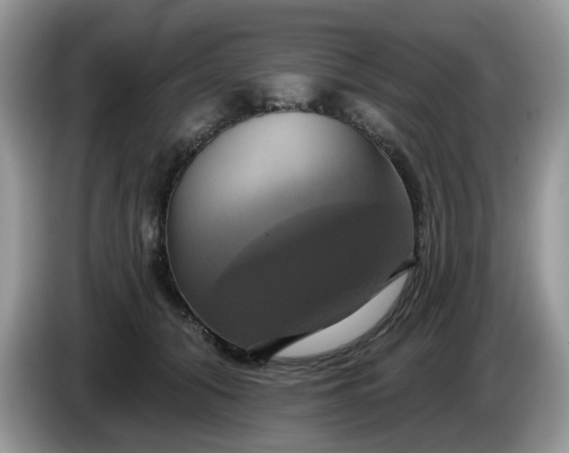 X0000086220608200704121858