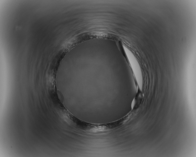 X0000086220609200704121858