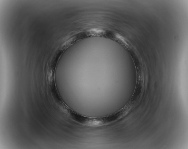 X0000086220610200704121858