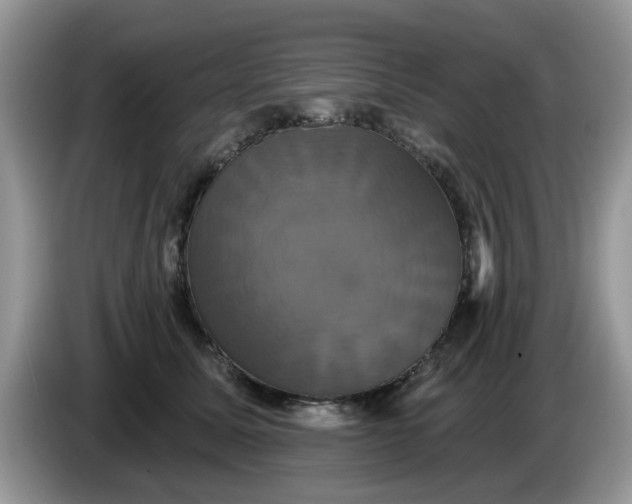 X0000086220611200704121858