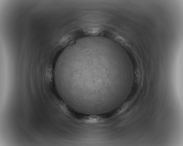 X0000086220612200704121858